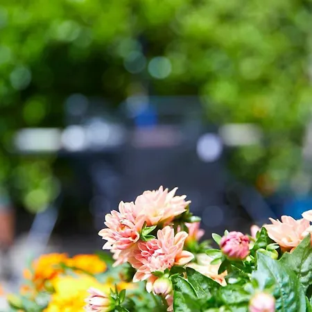 Apartamento The Coach House Dog Friendly *