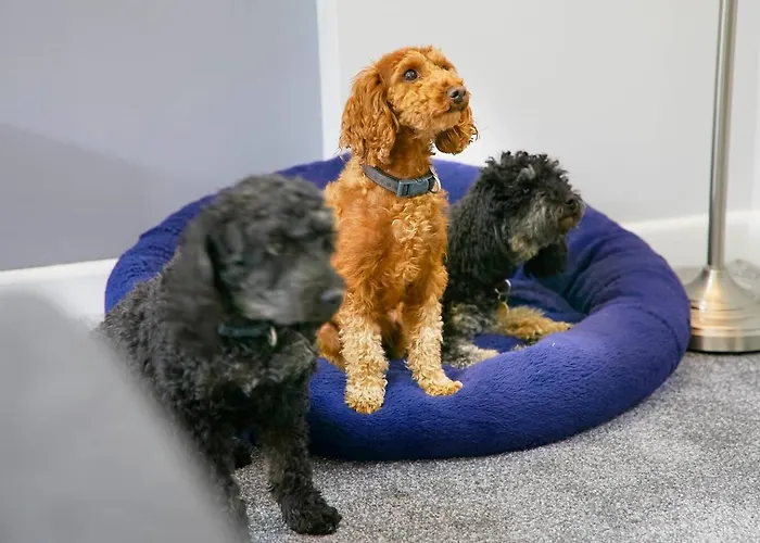 公寓 The Coach House Dog Friendly *