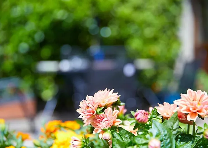 Apartman The Coach House Dog Friendly *